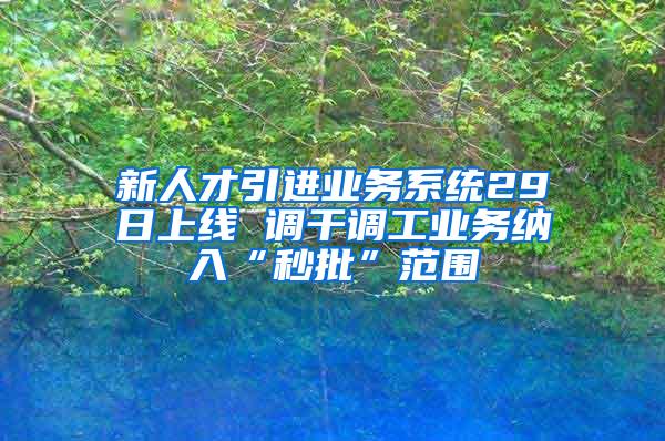 新人才引进业务系统29日上线 调干调工业务纳入“秒批”范围