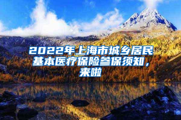 2022年上海市城乡居民基本医疗保险参保须知，来啦