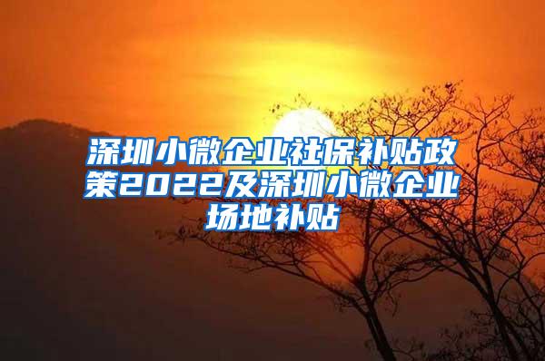 深圳小微企业社保补贴政策2022及深圳小微企业场地补贴