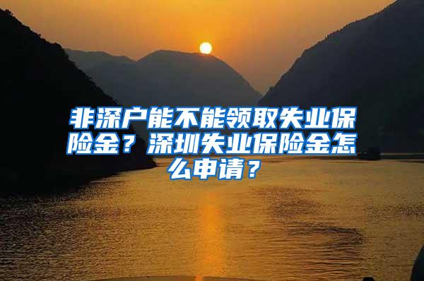 非深户能不能领取失业保险金？深圳失业保险金怎么申请？