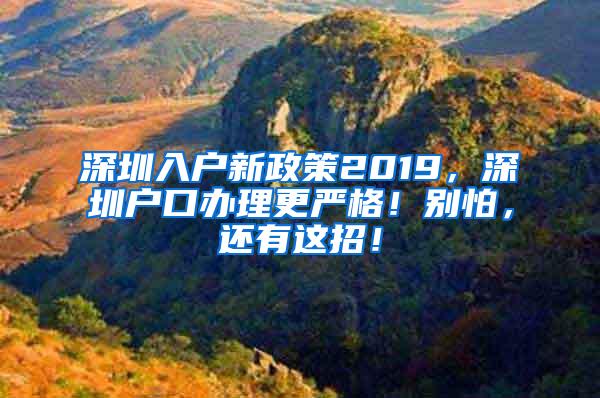 深圳入户新政策2019，深圳户口办理更严格！别怕，还有这招！