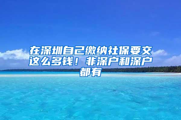 在深圳自己缴纳社保要交这么多钱！非深户和深户都有