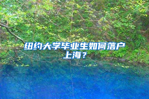 纽约大学毕业生如何落户上海？