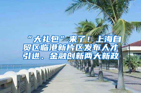 “大礼包”来了！上海自贸区临港新片区发布人才引进、金融创新两大新政