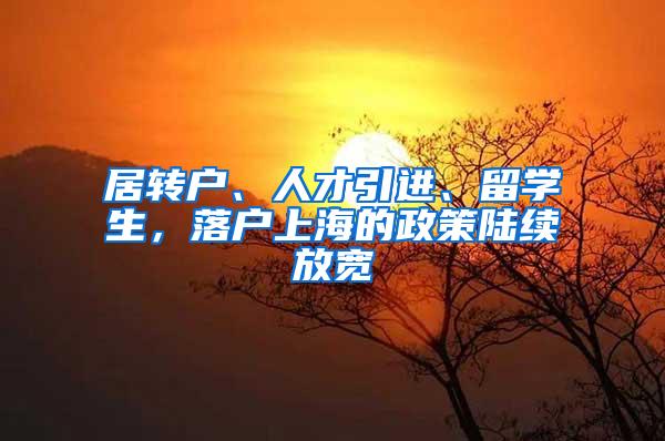 居转户、人才引进、留学生，落户上海的政策陆续放宽