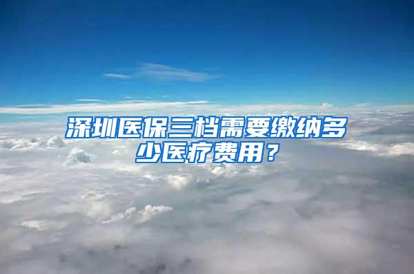 深圳医保三档需要缴纳多少医疗费用？