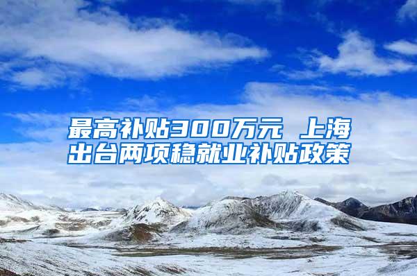 最高补贴300万元 上海出台两项稳就业补贴政策