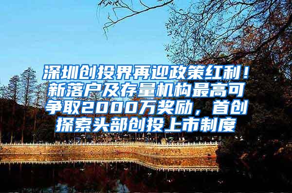 深圳创投界再迎政策红利！新落户及存量机构最高可争取2000万奖励，首创探索头部创投上市制度