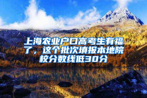 上海农业户口高考生有福了，这个批次填报本地院校分数线低30分