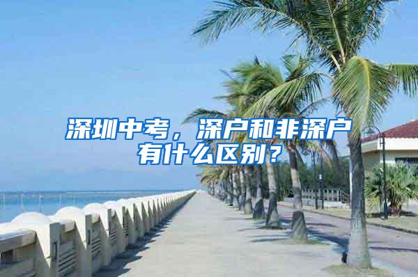 深圳中考，深户和非深户有什么区别？