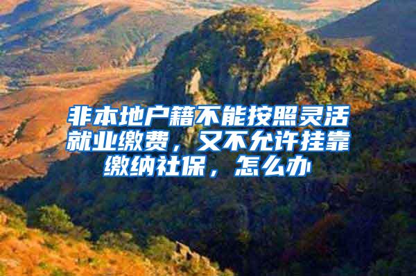 非本地户籍不能按照灵活就业缴费，又不允许挂靠缴纳社保，怎么办