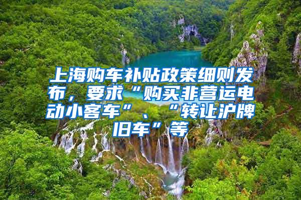 上海购车补贴政策细则发布，要求“购买非营运电动小客车”、“转让沪牌旧车”等
