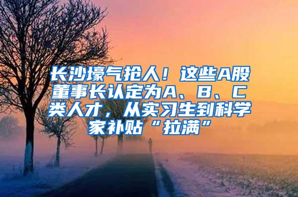 长沙壕气抢人！这些A股董事长认定为A、B、C类人才，从实习生到科学家补贴“拉满”