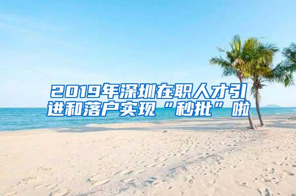 2019年深圳在职人才引进和落户实现“秒批”啦