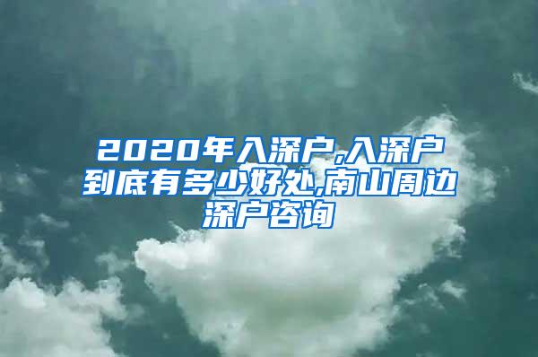 2020年入深户,入深户到底有多少好处,南山周边深户咨询