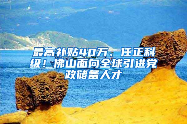 最高补贴40万、任正科级！佛山面向全球引进党政储备人才