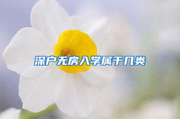 深户无房入学属于几类