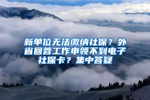 新单位无法缴纳社保？外省回蓉工作申领不到电子社保卡？集中答疑