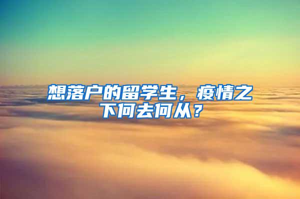 想落户的留学生，疫情之下何去何从？