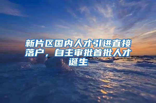 新片区国内人才引进直接落户，自主审批首批人才诞生