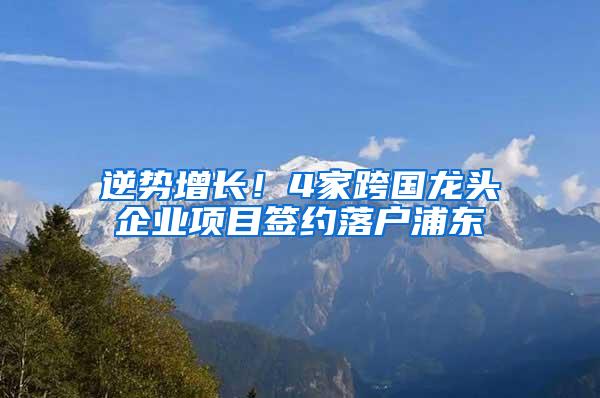 逆势增长！4家跨国龙头企业项目签约落户浦东