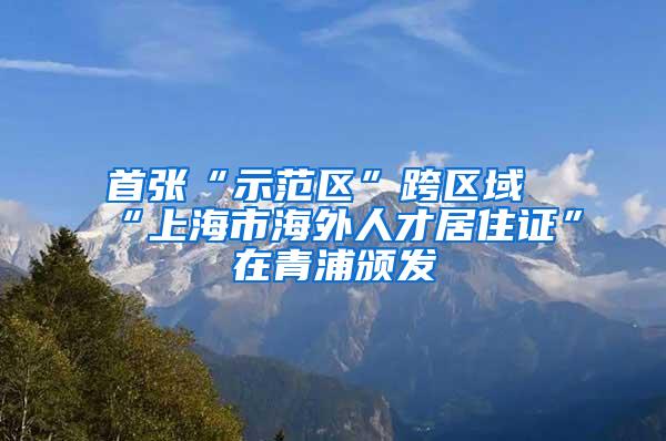 首张“示范区”跨区域“上海市海外人才居住证”在青浦颁发