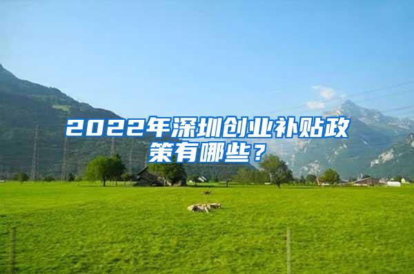 2022年深圳创业补贴政策有哪些？