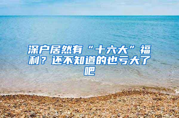 深户居然有“十六大”福利？还不知道的也亏大了吧