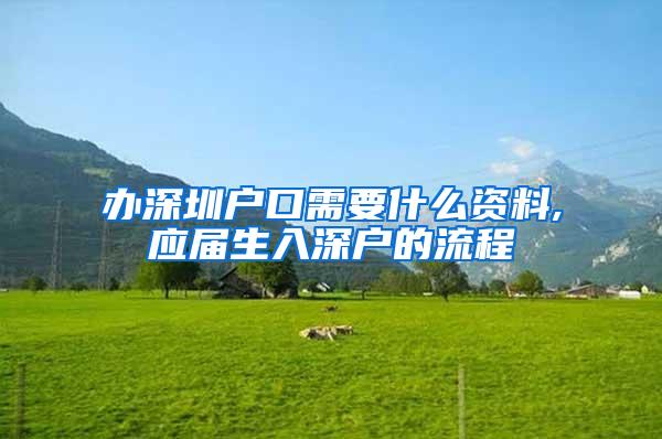 办深圳户口需要什么资料,应届生入深户的流程