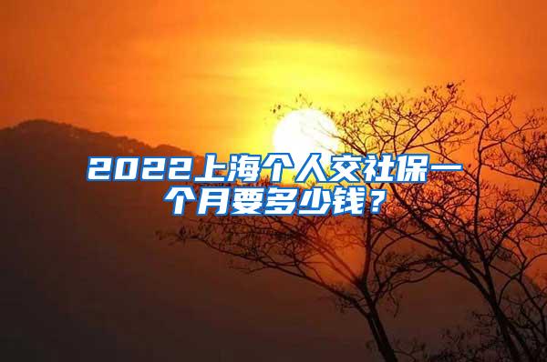 2022上海个人交社保一个月要多少钱？