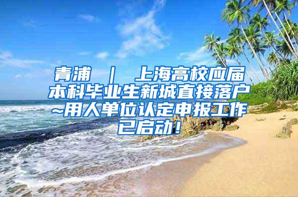 青浦 ｜ 上海高校应届本科毕业生新城直接落户~用人单位认定申报工作已启动！