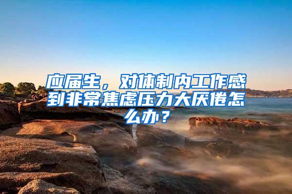 应届生，对体制内工作感到非常焦虑压力大厌倦怎么办？