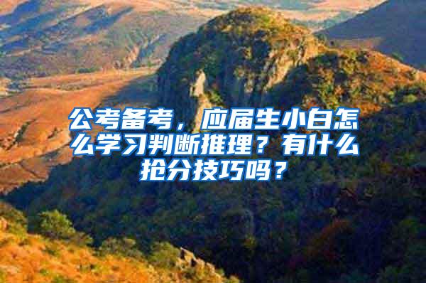 公考备考，应届生小白怎么学习判断推理？有什么抢分技巧吗？