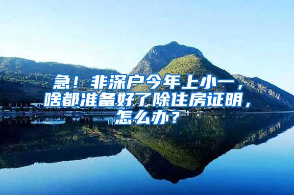 急！非深户今年上小一，啥都准备好了除住房证明，怎么办？