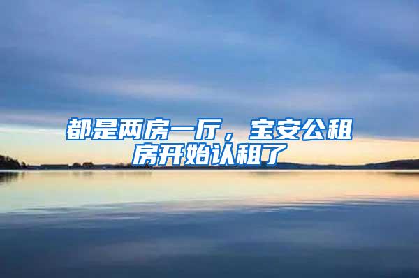 都是两房一厅，宝安公租房开始认租了