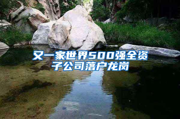 又一家世界500强全资子公司落户龙岗