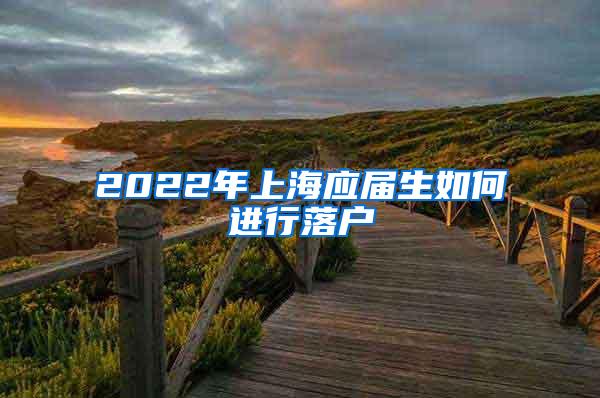 2022年上海应届生如何进行落户