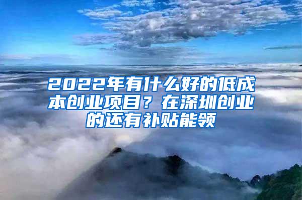 2022年有什么好的低成本创业项目？在深圳创业的还有补贴能领