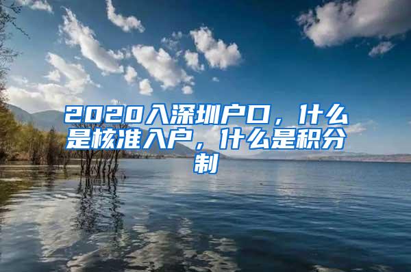 2020入深圳户口，什么是核准入户，什么是积分制