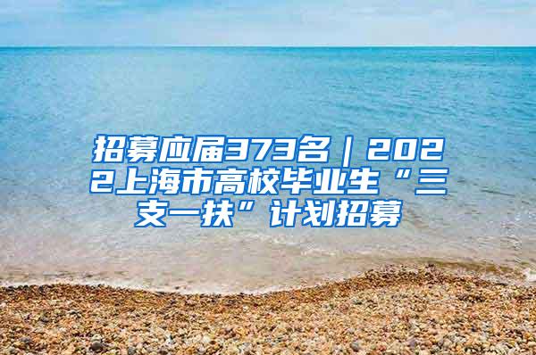 招募应届373名｜2022上海市高校毕业生“三支一扶”计划招募