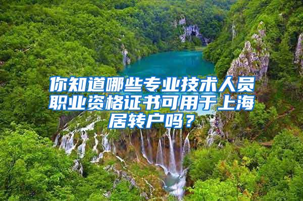 你知道哪些专业技术人员职业资格证书可用于上海居转户吗？