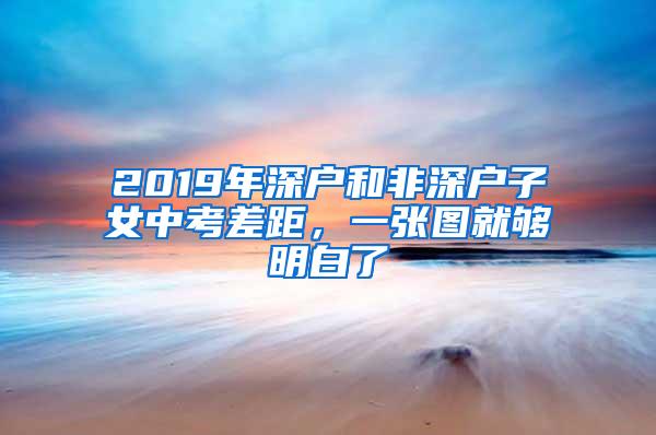 2019年深户和非深户子女中考差距，一张图就够明白了