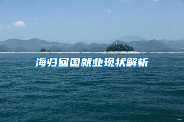 海归回国就业现状解析