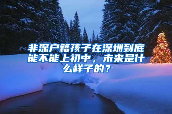 非深户籍孩子在深圳到底能不能上初中，未来是什么样子的？