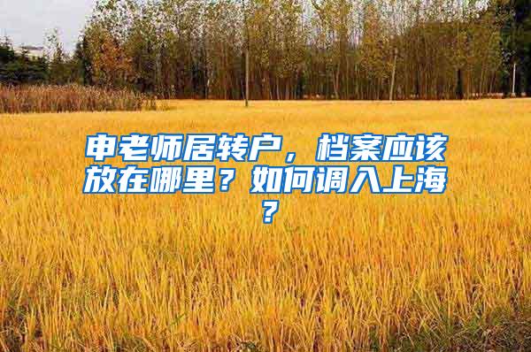 申老师居转户，档案应该放在哪里？如何调入上海？