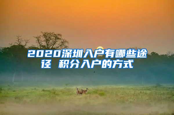 2020深圳入户有哪些途径 积分入户的方式