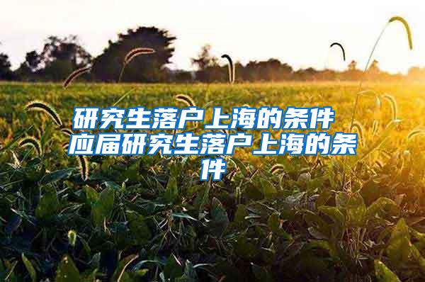 研究生落户上海的条件 应届研究生落户上海的条件