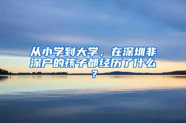 从小学到大学，在深圳非深户的孩子都经历了什么？