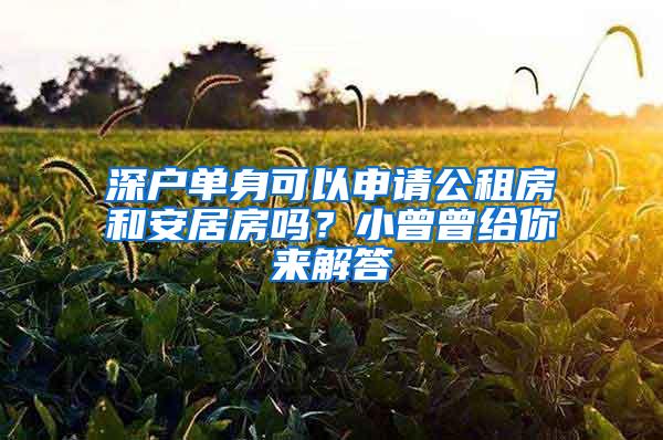 深户单身可以申请公租房和安居房吗？小曾曾给你来解答