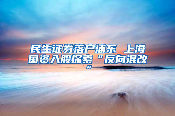 民生证券落户浦东 上海国资入股探索“反向混改”